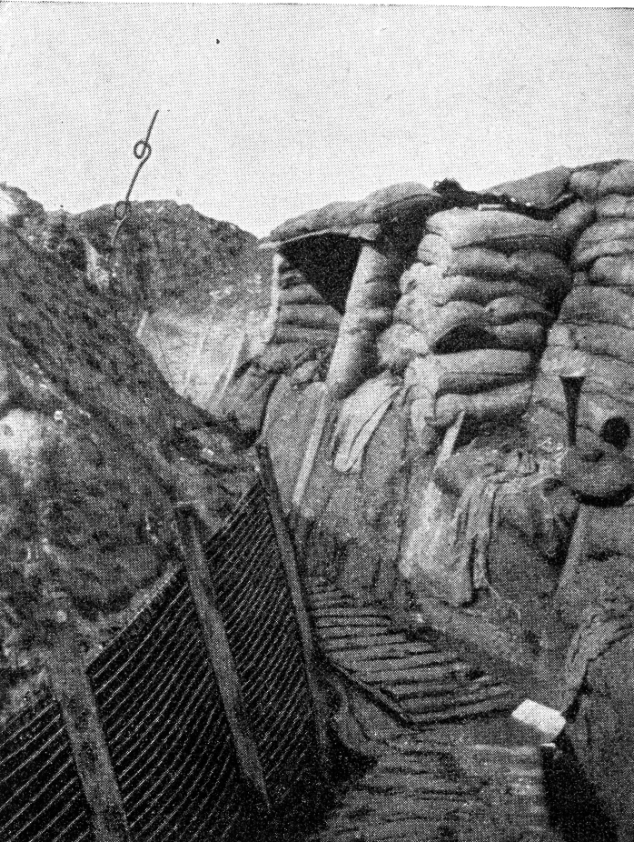 The Western Front: WW1 Trench Warfare – Old Front Line